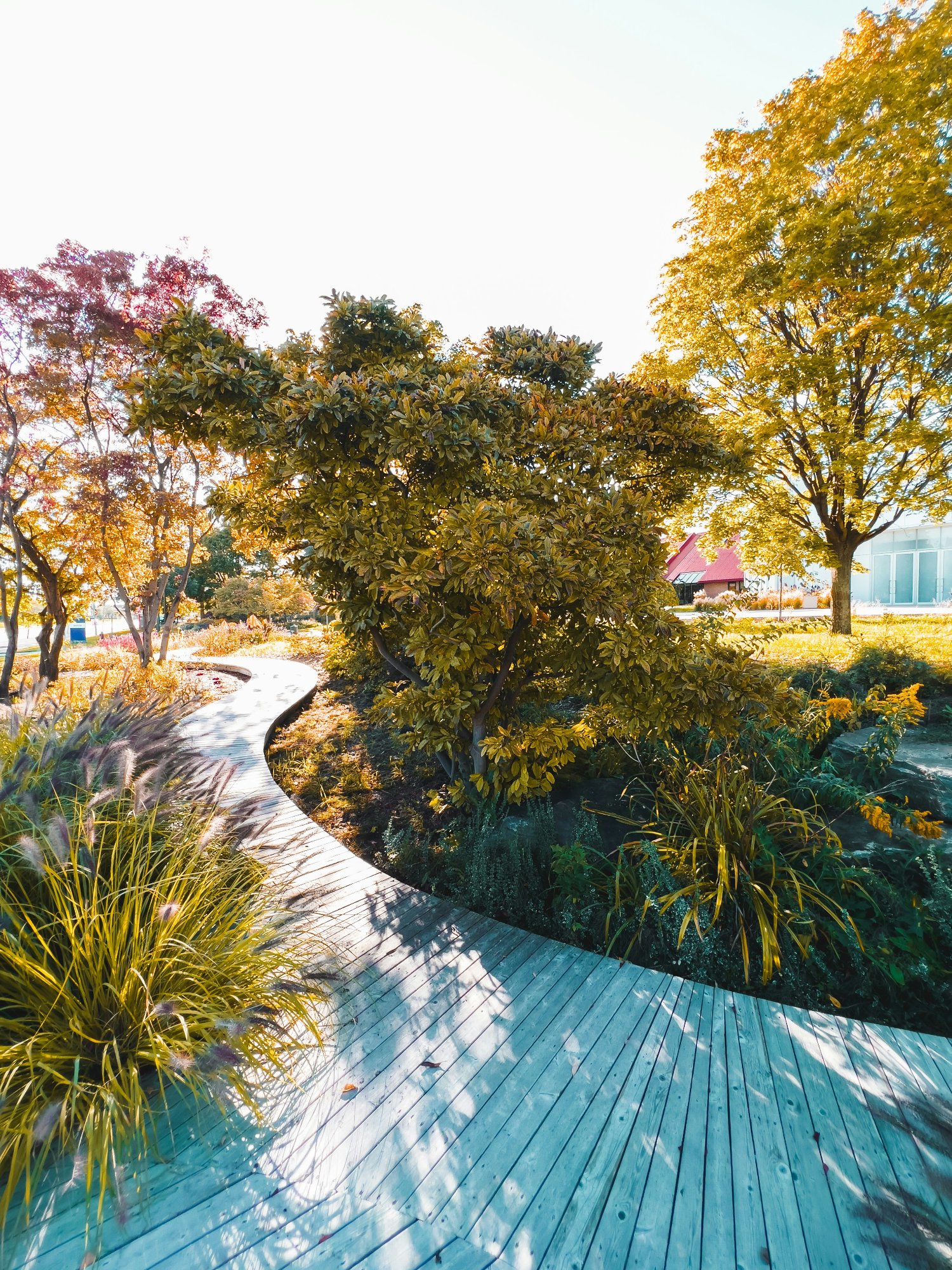 Green spaces and trails